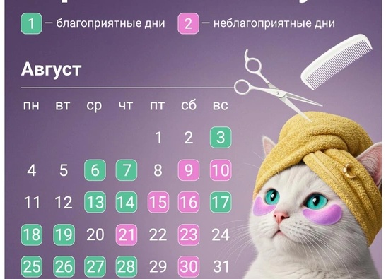 Август – время выпускать… стрижей